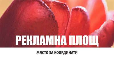 Настолен календар НК7