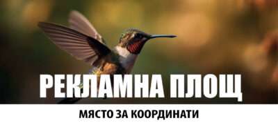Настолен календар НК1