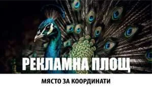 Настолен календар НК2