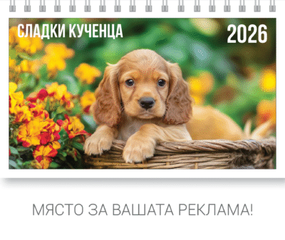 Пирамидка Кучета