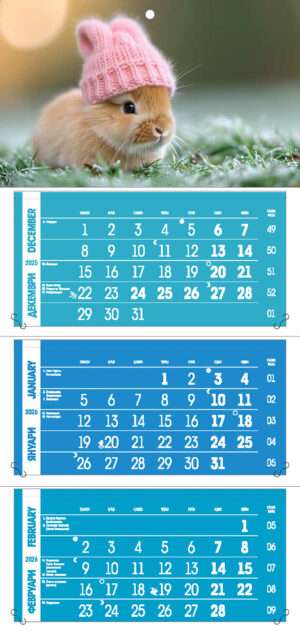 Работен календар РК Колоре